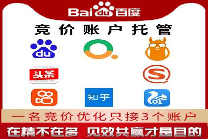 百度竞价SEM深度解析：某行业成功推广经验